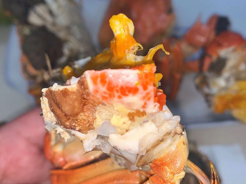 大闸蟹和海蟹哪个好吃