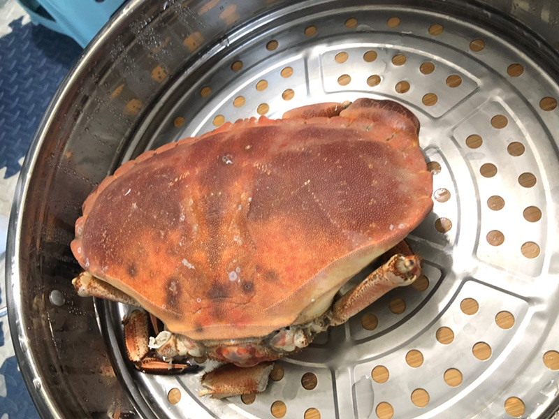 面包蟹多少钱一斤